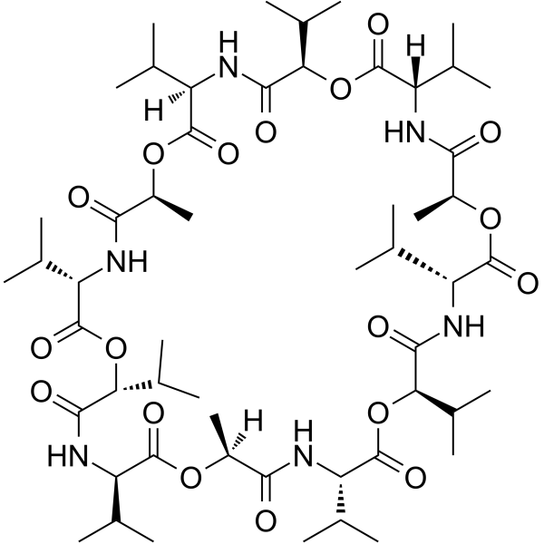 Valinomycin Antibacterial Antibiotic Apoptosis Autophagy Pten