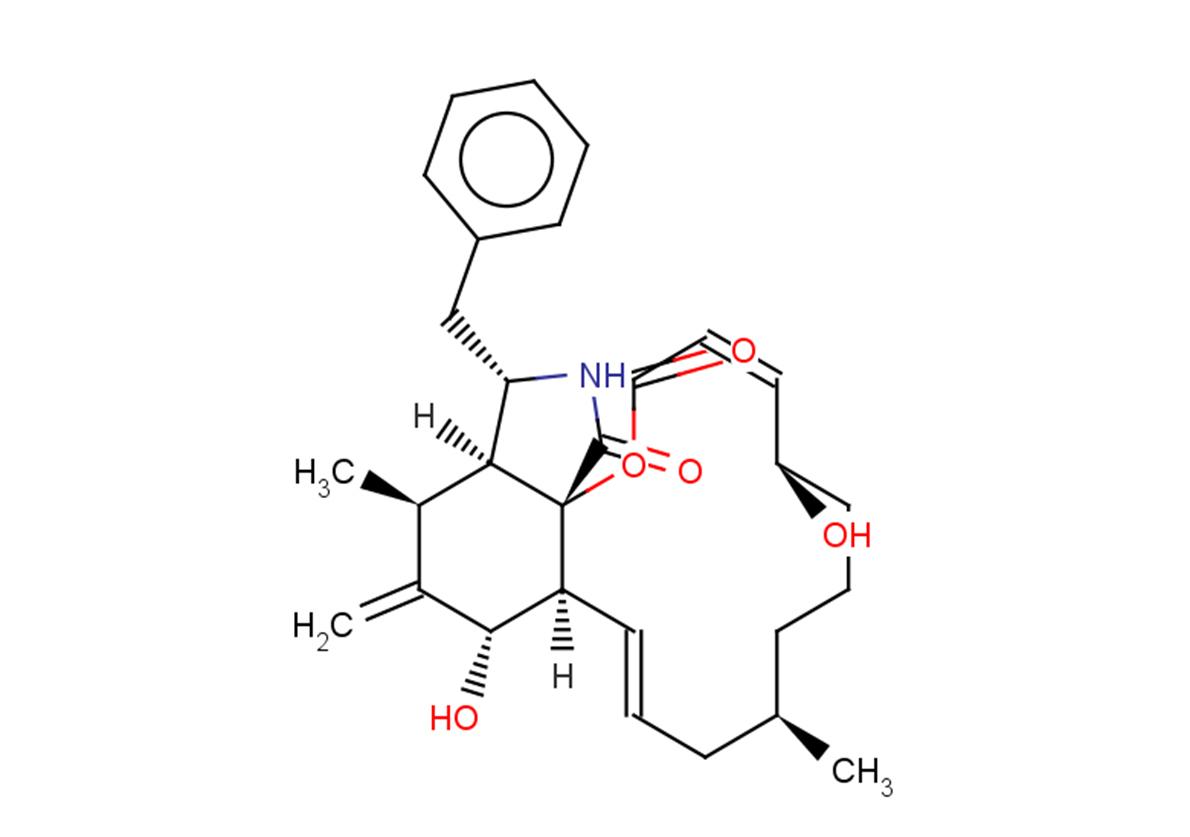 Cytochalasin B | Arp2/3 Complex | TargetMol