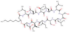 Arthrofactin