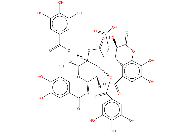 Chebulinic acid - ATPase | Proton pump | DNA/RNA Synthesis ...