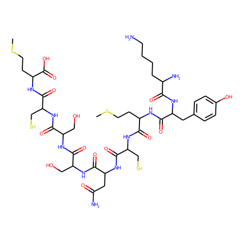 p53 tumor suppressor fragment