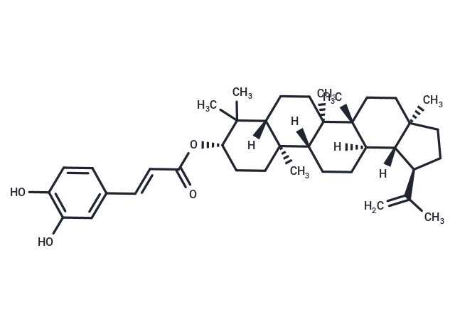 Lupeol caffeate Chemical Structure