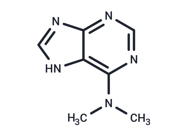 TargetMol Chemical Structure 6-(Dimethylamino)purine