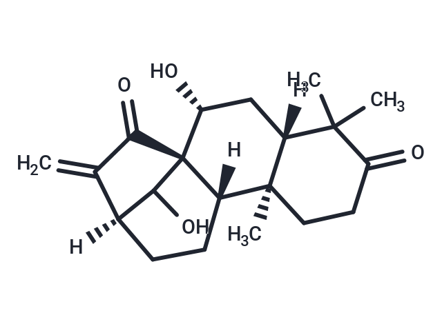 Glaucocalyxin A Chemical Structure
