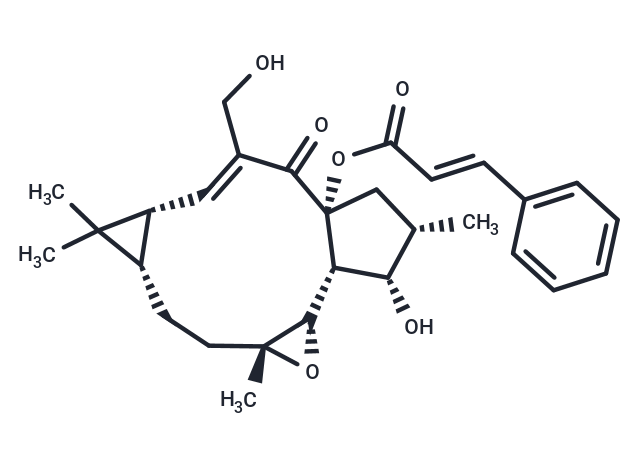 TargetMol Chemical Structure Jolkinol A