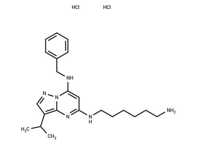 BS-181 dihydrochloride Chemical Structure