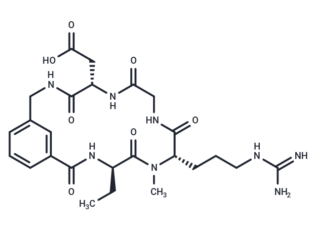 DMP-728 free base Chemical Structure