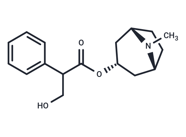 TargetMol Chemical Structure Atropine