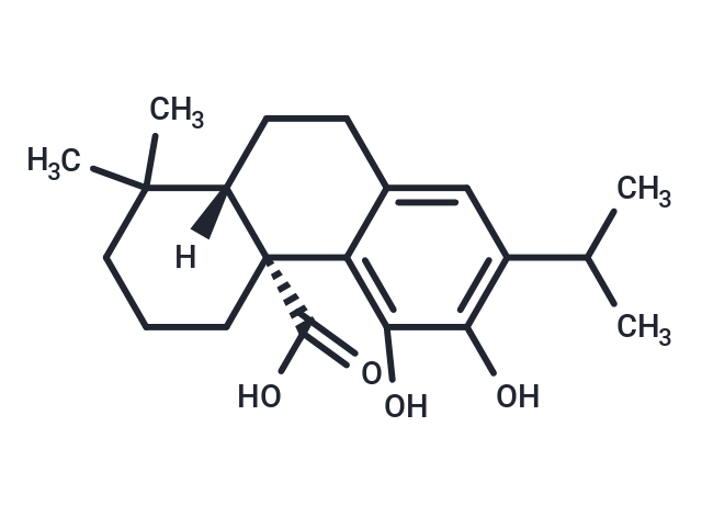 Carnosic acid Chemical Structure