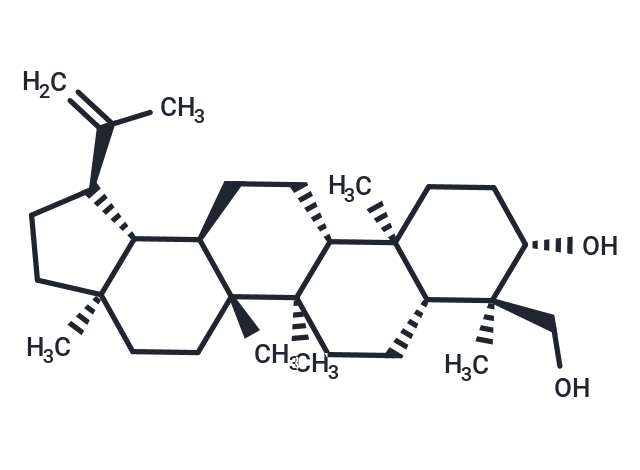 TargetMol Chemical Structure Lup-20(29)-ene-3β,23-diol
