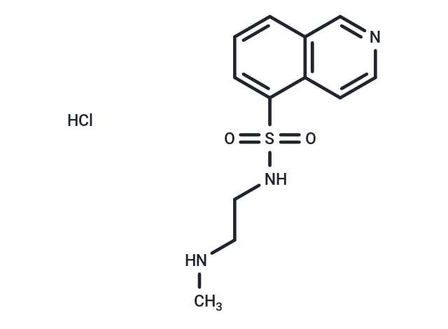 TargetMol Chemical Structure H-8 hydrochloride