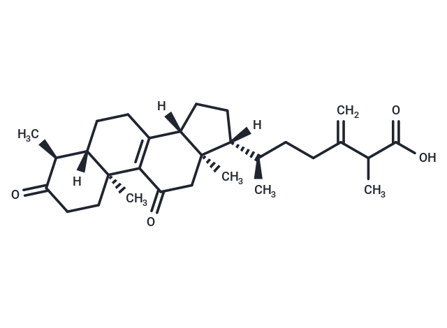 antcin A Chemical Structure