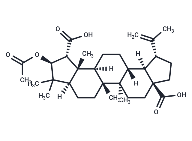TargetMol Chemical Structure Ceanothic acid acetate