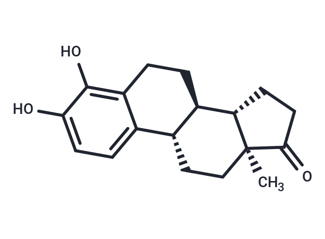 TargetMol Chemical Structure 4-Hydroxyestrone