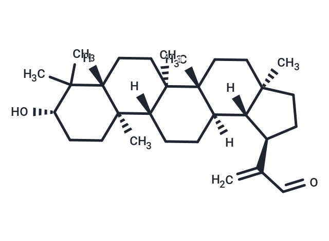 TargetMol Chemical Structure 30-Oxolupeol
