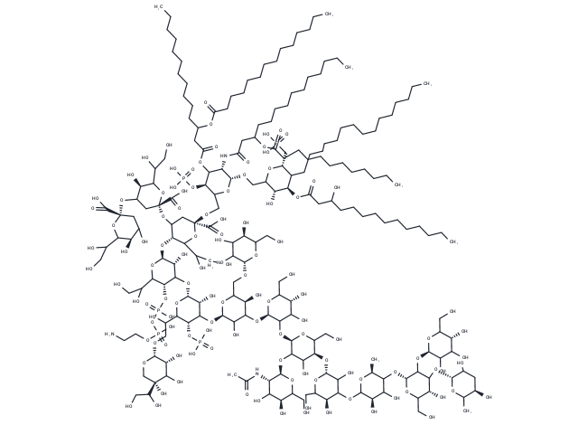 Lipopolysaccharides Chemical Structure