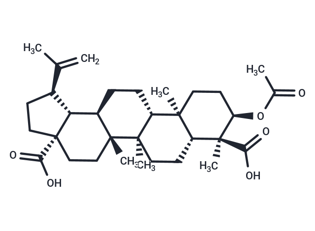 TargetMol Chemical Structure 3alpha-Acetoxy-20(29)-lupene-23,28-dioic acid