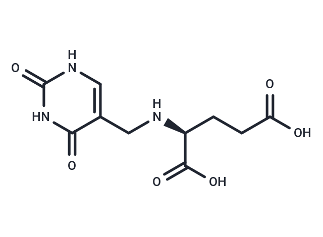 alpha-Glutamylthymine Chemical Structure