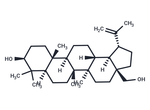 TargetMol Chemical Structure Betulin