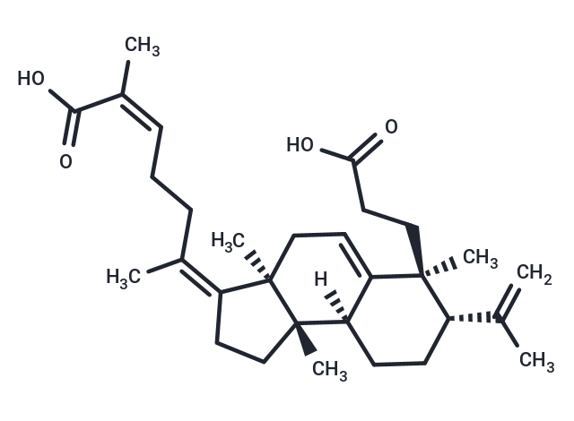 TargetMol Chemical Structure Kadsuracoccinic acid A