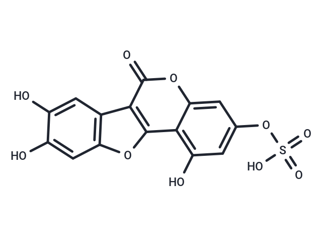 Demethylwedelolactone Sulfate Chemical Structure
