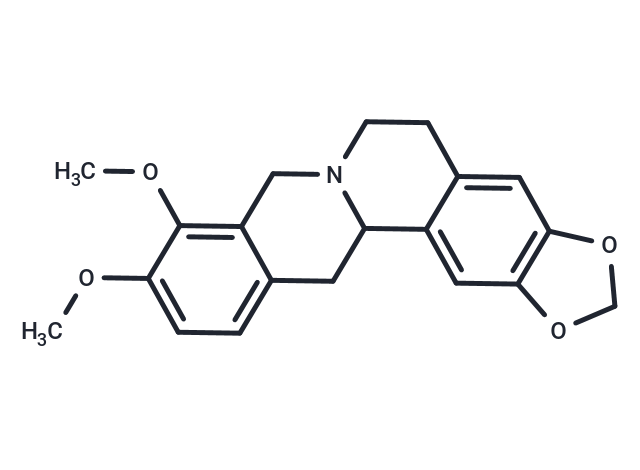 TargetMol Chemical Structure Tetrahydroberberine