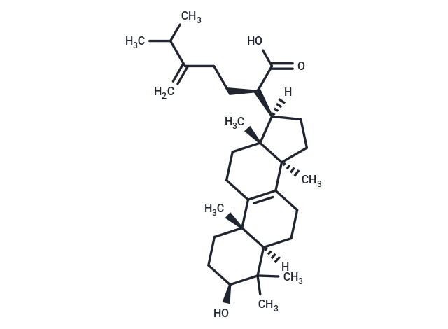 Eburicoic acid Chemical Structure