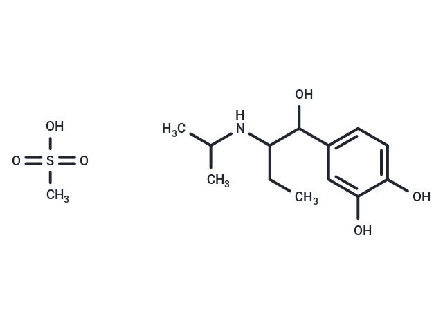 Isoetharine mesylate salt Chemical Structure