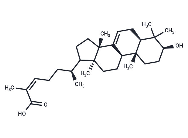 TargetMol Chemical Structure Masticadienolic acid