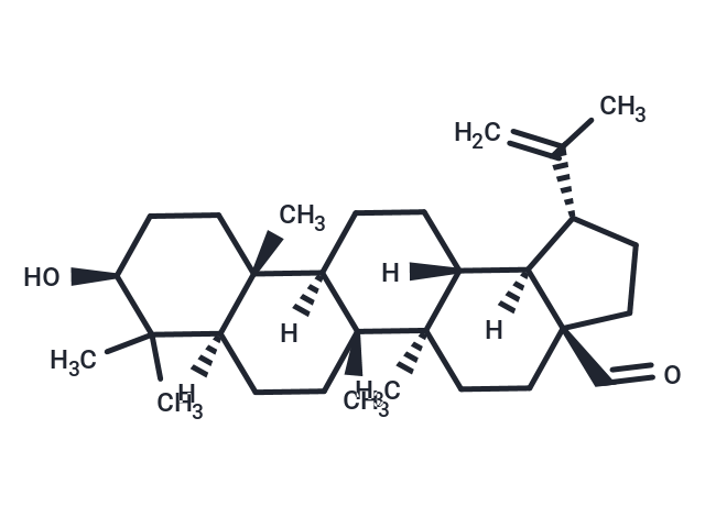TargetMol Chemical Structure Betulinaldehyde