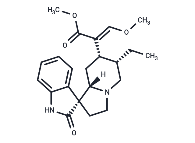 TargetMol Chemical Structure Corynoxine B