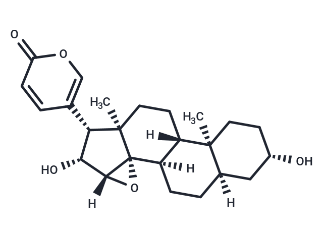 TargetMol Chemical Structure Desacetylcinobufagin