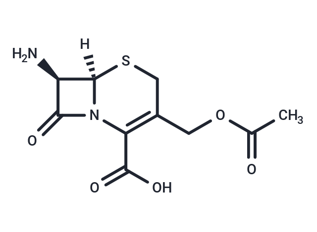 7-Aminocephalosporanic acid Chemical Structure