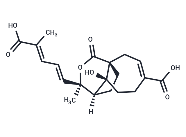 TargetMol Chemical Structure Demethoxydeacetoxypseudolaric acid B