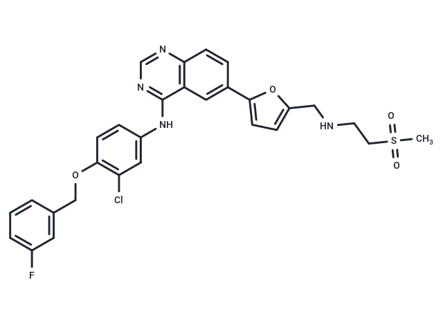 TargetMol Chemical Structure Lapatinib