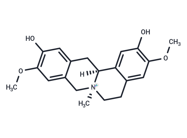 TargetMol Chemical Structure Phellodendrine