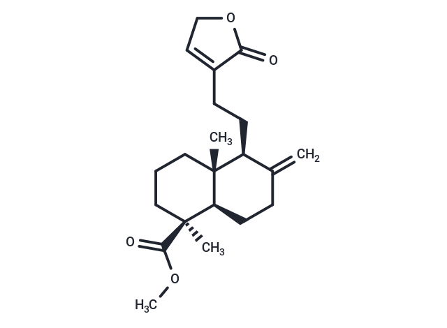 TargetMol Chemical Structure Pinusolide