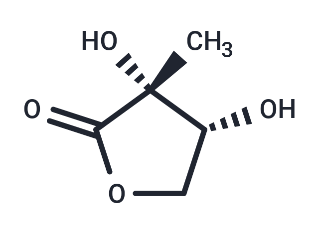 TargetMol Chemical Structure 2-C-Methyl-D-erythrono-1,4-lactone