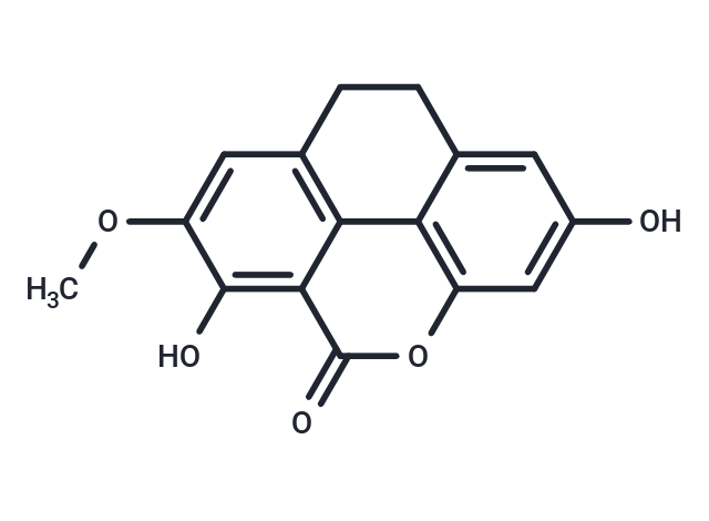 Oxoflaccidin Chemical Structure