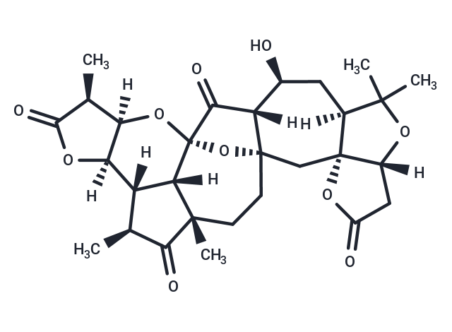 Lancifodilactone C Chemical Structure
