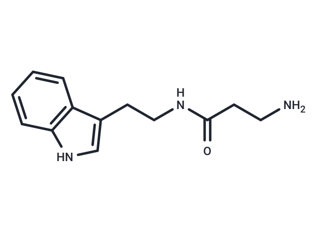 TargetMol Chemical Structure Indole-C2-amide-C2-NH2