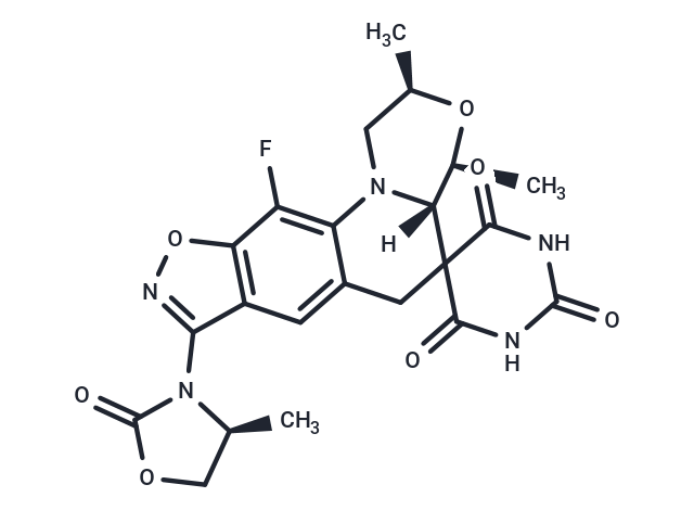 TargetMol Chemical Structure Zoliflodacin