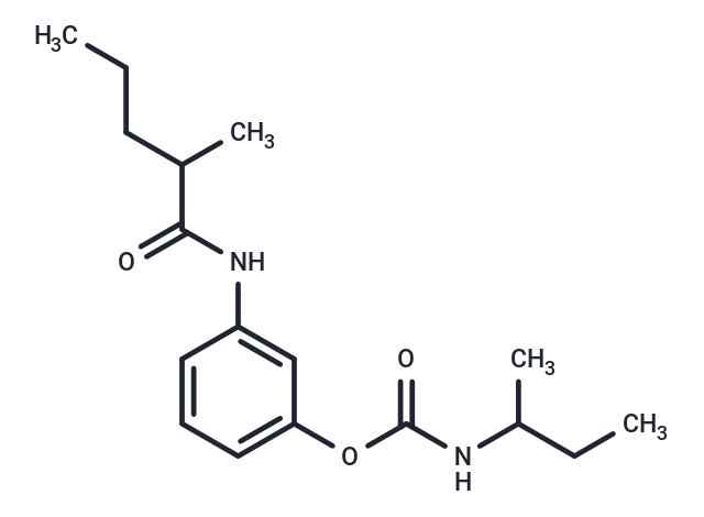 Valeranilide, 3'-hydroxy-2-methyl-, sec-butylcarbamate (ester) Chemical Structure
