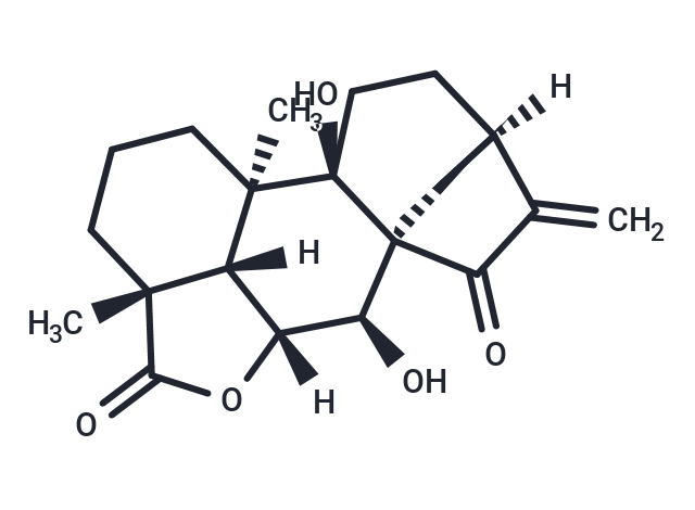 TargetMol Chemical Structure ent-7alpha,9-Dihydroxy-15-oxokaur-16-en-19,6bet-olide