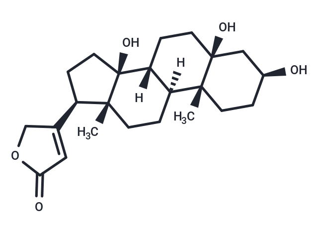 TargetMol Chemical Structure Periplogenin