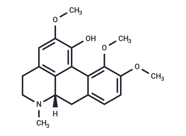 TargetMol Chemical Structure Corydine