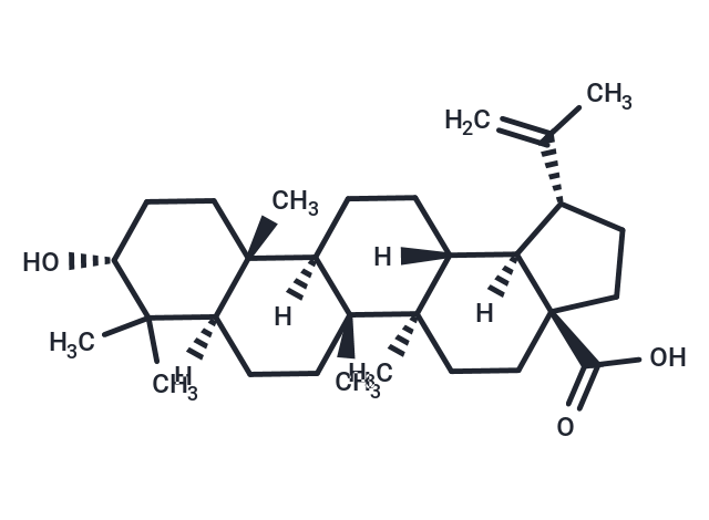 TargetMol Chemical Structure Epibetulinic acid