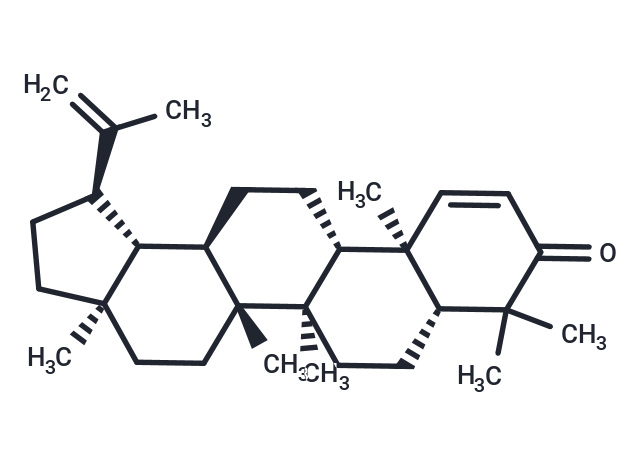 TargetMol Chemical Structure Glochidone