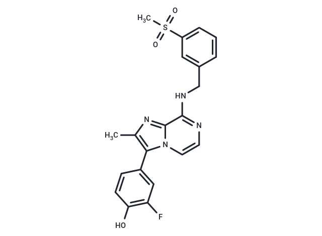 TargetMol Chemical Structure BF738735