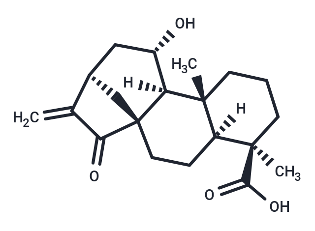 ent-11alpha-Hydroxy-15-oxokaur-16-en-19-oic acid Chemical Structure